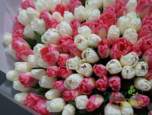 Букет из белого и розового тюльпана (ПОД ЗАКАЗ, 10 дней) Фото